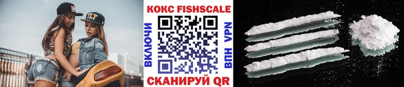 Кокаин FishScale  Купить закладки  Темников 