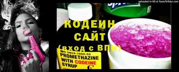 PSILOCYBIN Лагань