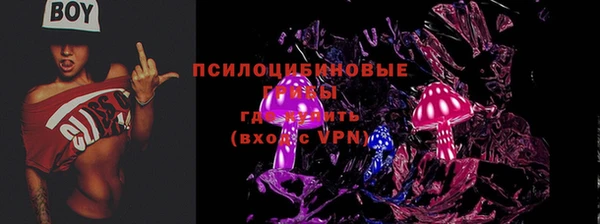 PSILOCYBIN Лагань