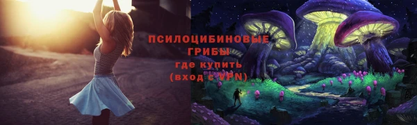 ешки Лабытнанги