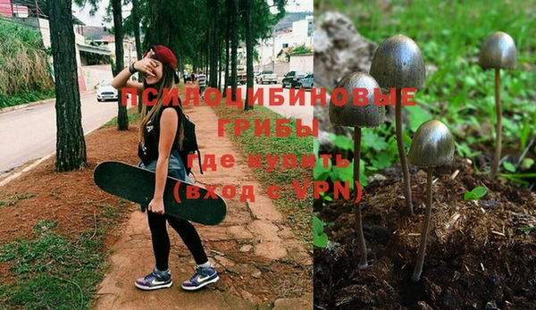 PSILOCYBIN Лагань