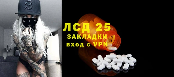 PSILOCYBIN Лагань