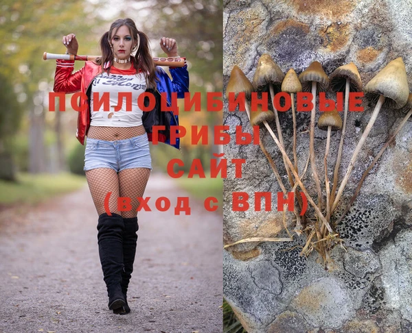 герыч Ладушкин