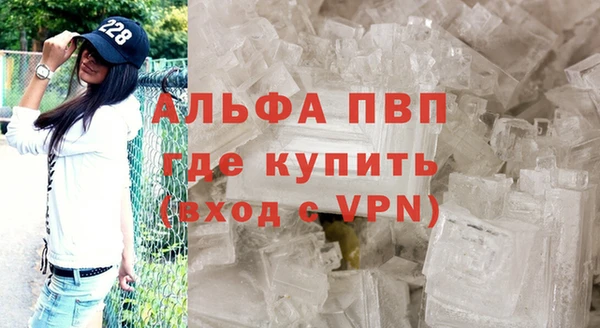 PSILOCYBIN Лагань